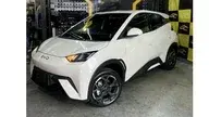 BYD Dolphin Mini