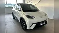 BYD Dolphin Mini