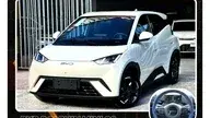 BYD Dolphin Mini