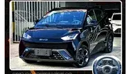 BYD Dolphin Mini
