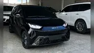 BYD Dolphin Mini