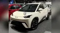 BYD Dolphin Mini