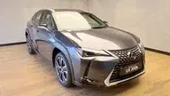 Lexus Ux 300e