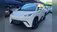 BYD Dolphin Mini