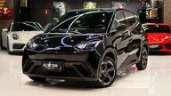 BYD Dolphin Plus