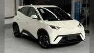 BYD D1