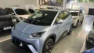 BYD D1