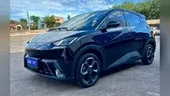 BYD D1
