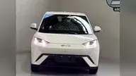 BYD D1