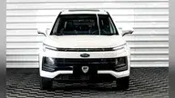 JAC E-JS1