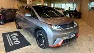 BYD Dolphin Plus