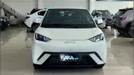 BYD Dolphin Mini
