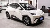 BYD Dolphin Mini