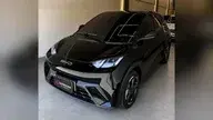 BYD Dolphin Mini