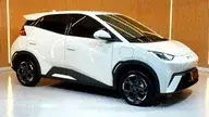 BYD Dolphin Mini