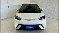 BYD Dolphin Mini