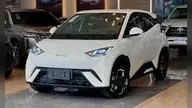 BYD Dolphin Mini