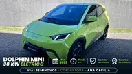 BYD Dolphin Mini