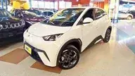 BYD Dolphin Mini