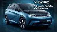 BYD Dolphin Plus