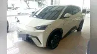 BYD Dolphin Mini