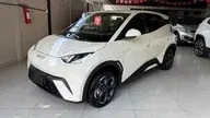BYD Dolphin Mini