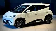 BYD Dolphin Mini