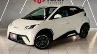 BYD Dolphin Mini