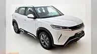BYD Yuan Pro