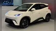 BYD Dolphin Mini