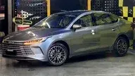 BYD King