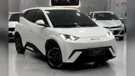 BYD Dolphin Mini