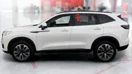 GWM Haval H6 Phev Flex