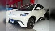 BYD Dolphin Mini