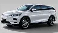 BYD Tan