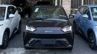 BYD Dolphin Mini