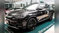 BYD Tan
