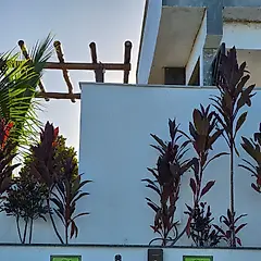 Miniatura 2 da estação Mirante Vista Nobre