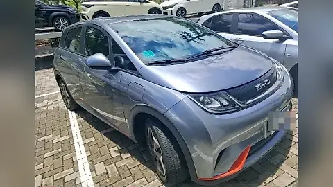 Foto de um byd dolphin