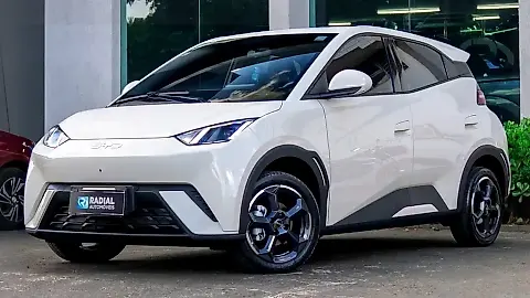 Foto de um byd dolphin mini