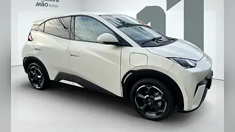 Foto de um byd dolphin mini