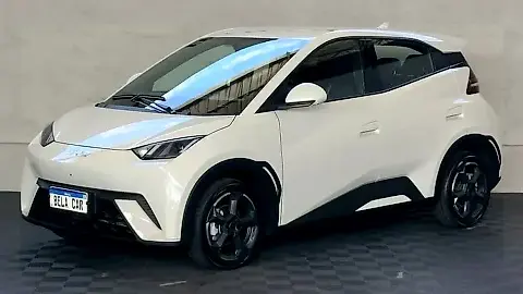 Foto de um byd dolphin mini