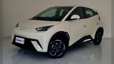 Foto de um byd dolphin