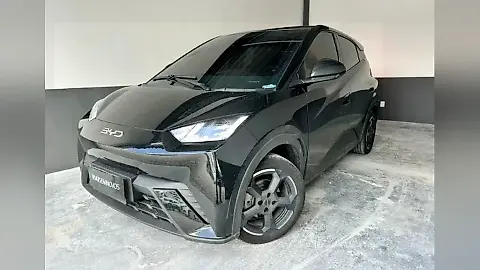 Foto de um byd dolphin mini