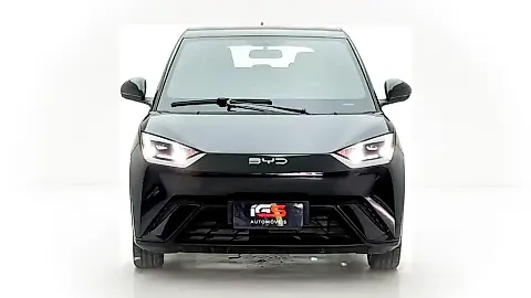 Foto de um byd dolphin mini