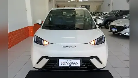 Foto de um byd dolphin mini