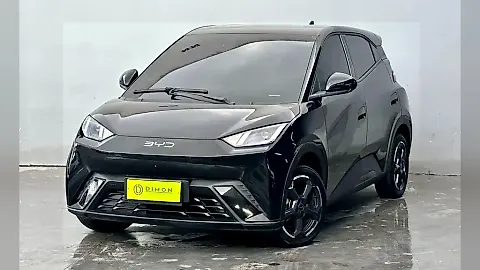 Foto de um byd dolphin