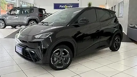 Foto de um byd dolphin mini