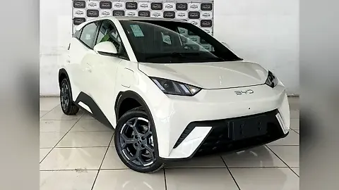 Foto de um byd dolphin mini