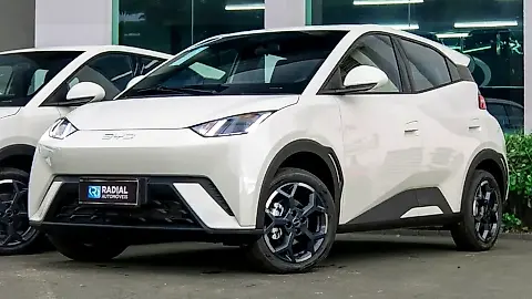 Foto de um byd dolphin mini